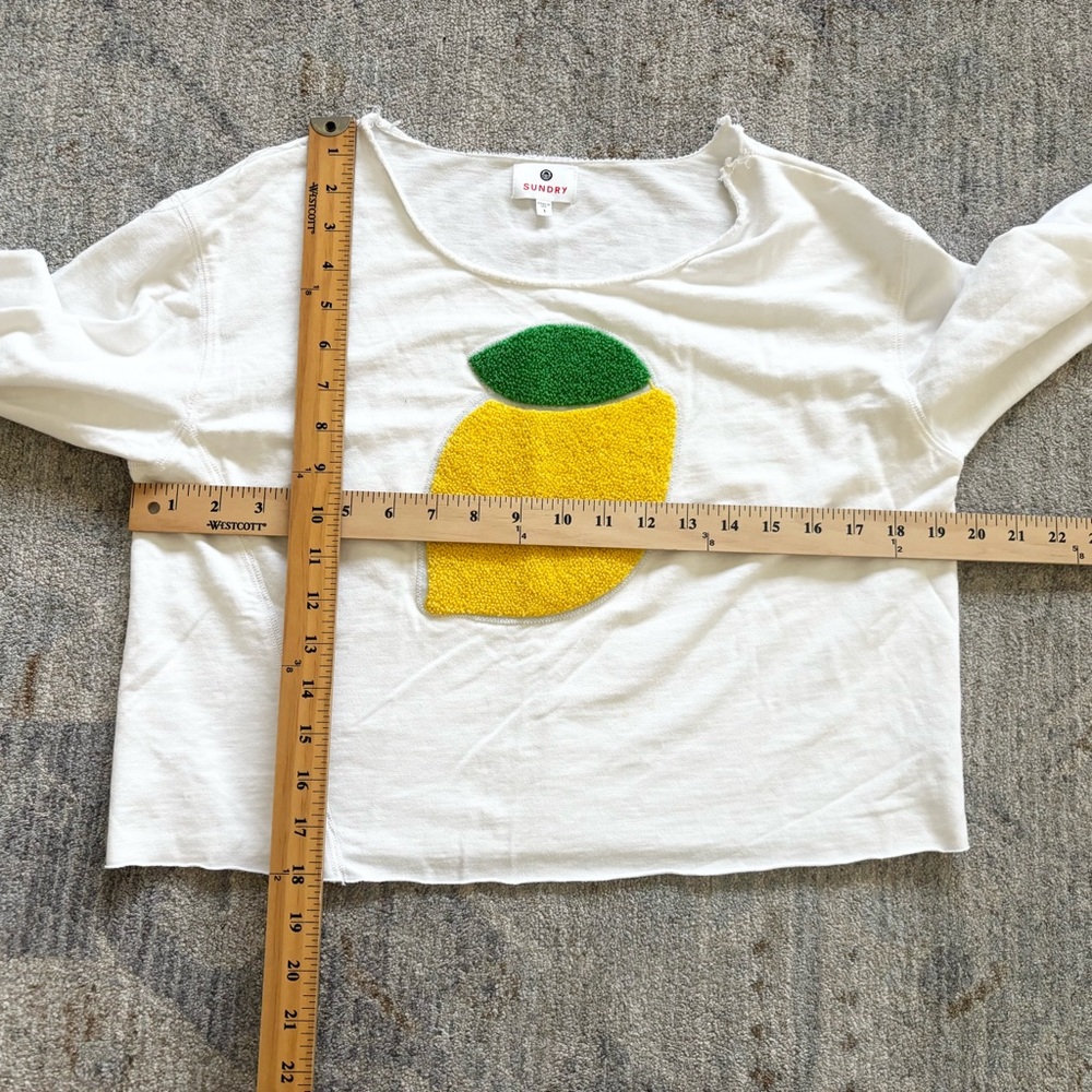 Sundry Lemon Graphic Long Sleeve Customized Tee Size 1/Small Novelty Fun Summer - Picture 7 of 9